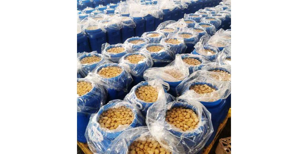 Forarbejdning af saltlage svampe