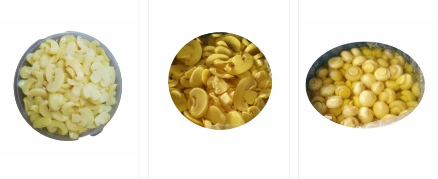 Saltningsmetode af saltet svamp