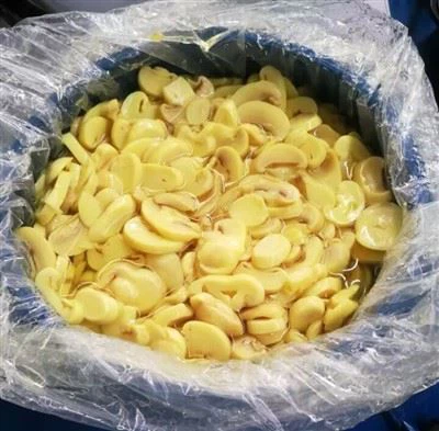 Løgfrøplante kontinuerlig frøopsamlingsmetode