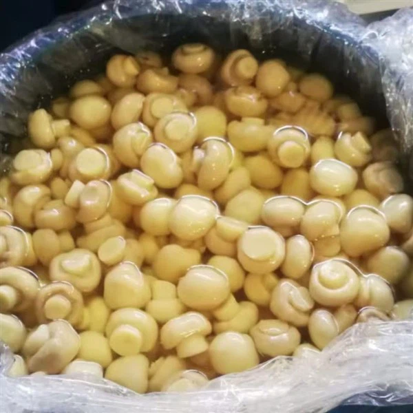 Sådatoen og mængden af ​​løg